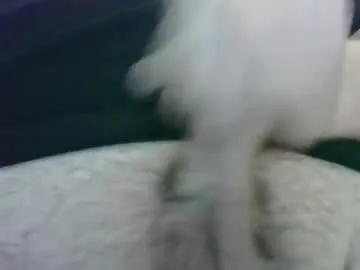 tinydick006 — tiny dick cum show - Goal: cum #smallcock