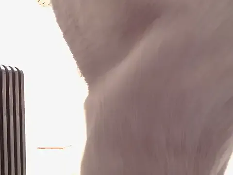 866532 — Freechat on StripChat