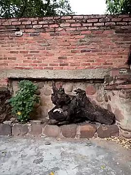 sweet_outdoor_charm from StripChat