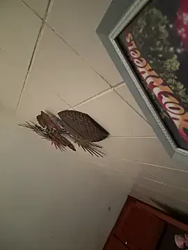 Valentinacouple — Footjob