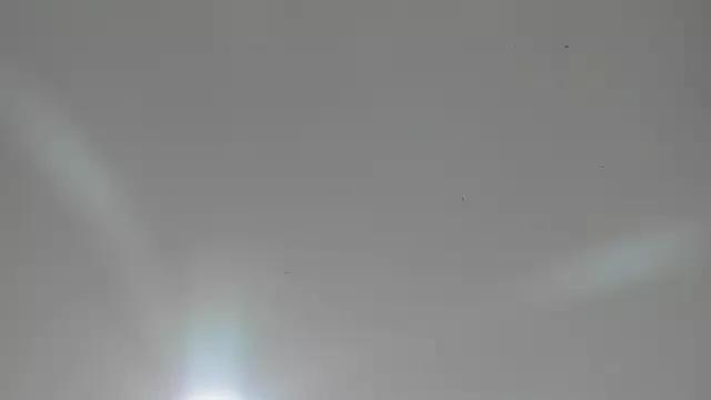 veronica_hill_ from StripChat