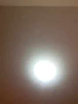 Vickyfox_ from StripChat